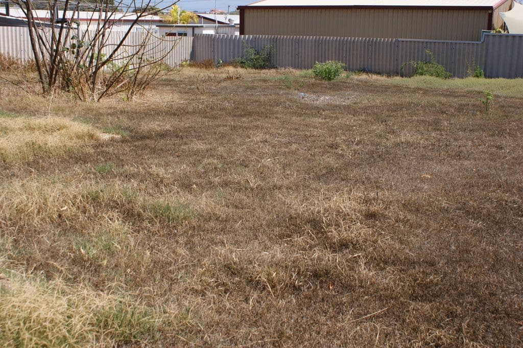 20 Armstrong Street, Dongara WA 6525, Dongara - Thumbnail 7
