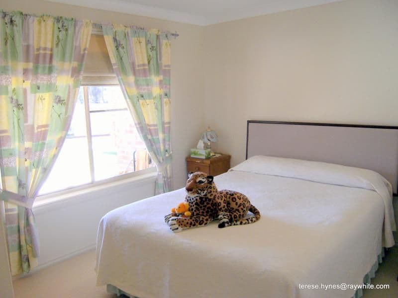 33 Petticoat Lane, YOUNG NSW 2594, Young - Thumbnail 8