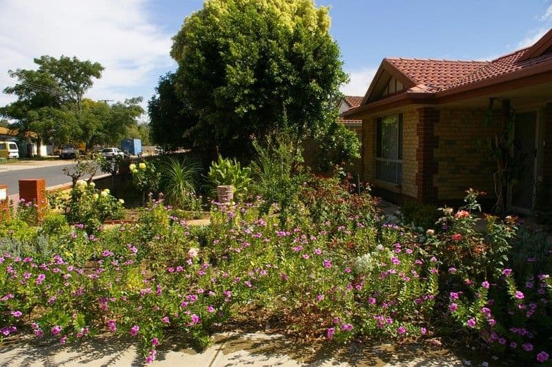 2 Banksia Street, RENMARK SA 5341, Renmark - Thumbnail 3