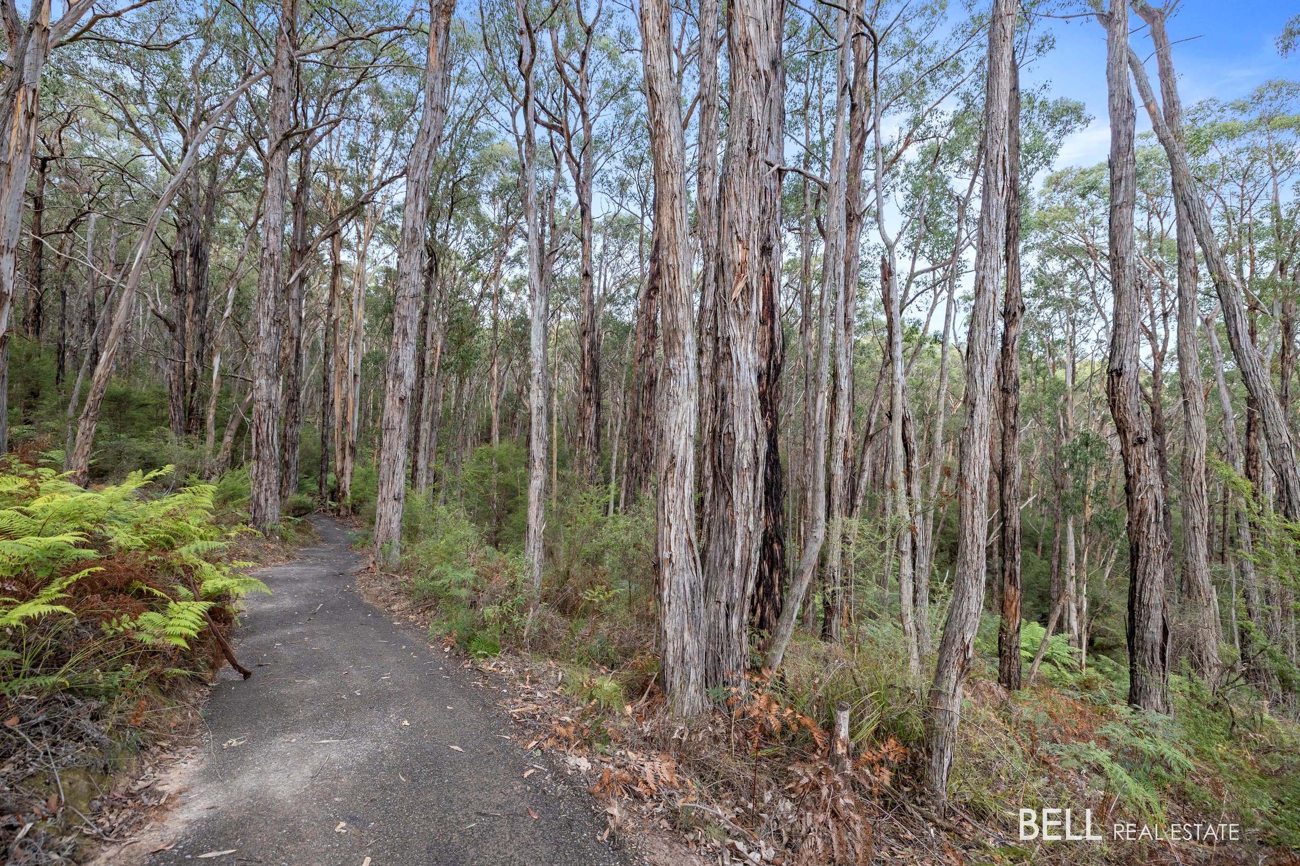 215 Milners Road, LAUNCHING PLACE, Launching Place - Thumbnail 2