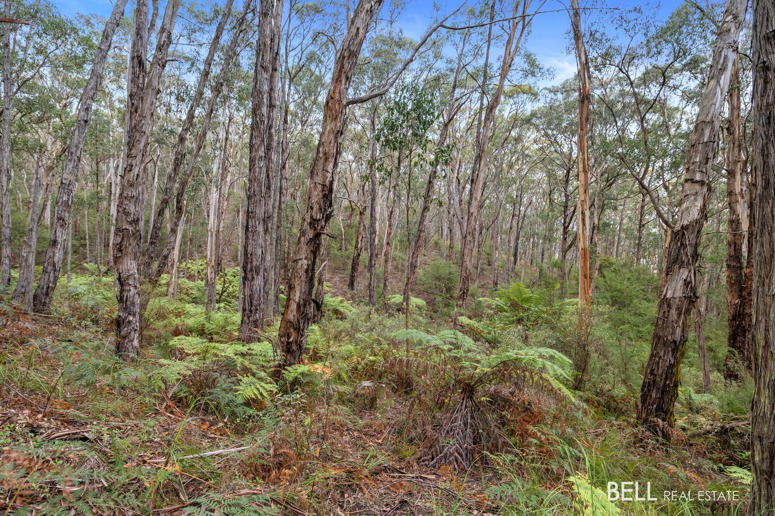 215 Milners Road, LAUNCHING PLACE, Launching Place - Thumbnail 4