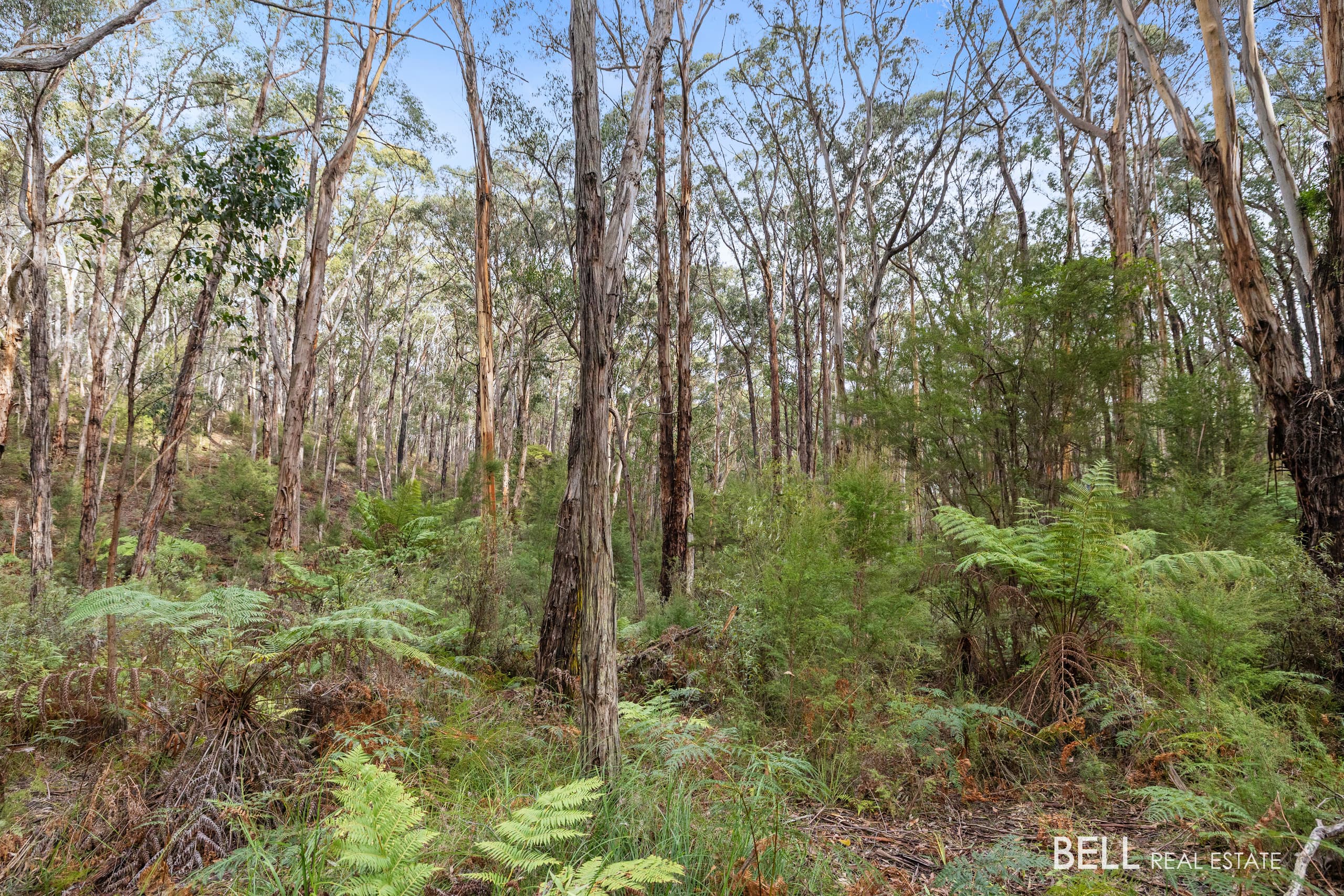 215 Milners Road, LAUNCHING PLACE, Launching Place - Thumbnail 6