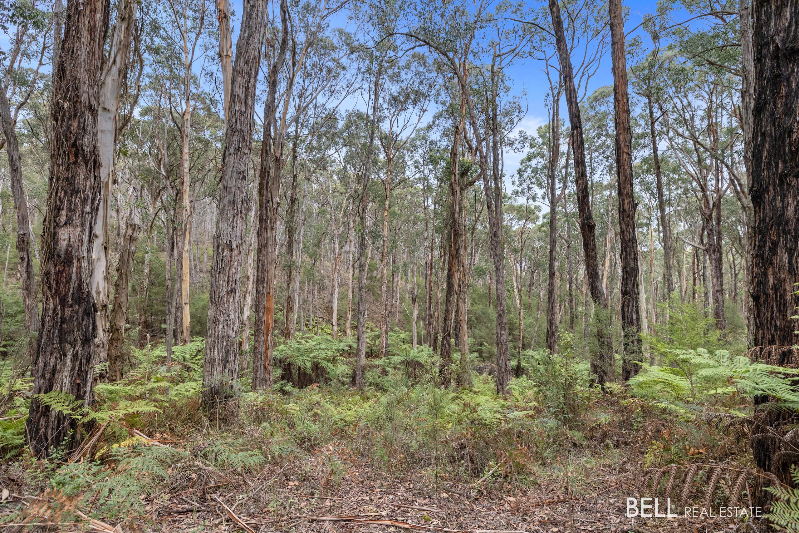 215 Milners Road, LAUNCHING PLACE, Launching Place - Thumbnail 8