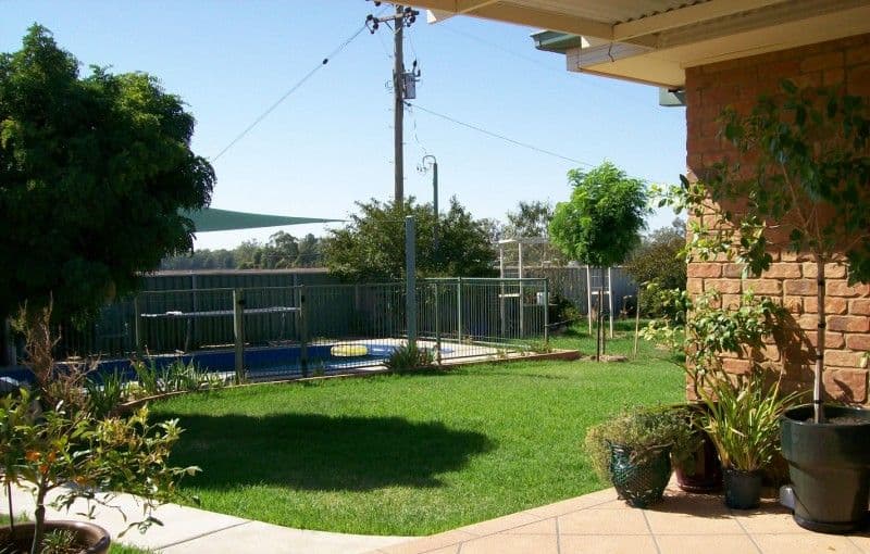 132 Wambat Street, FORBES NSW 2871, Forbes - Thumbnail 2
