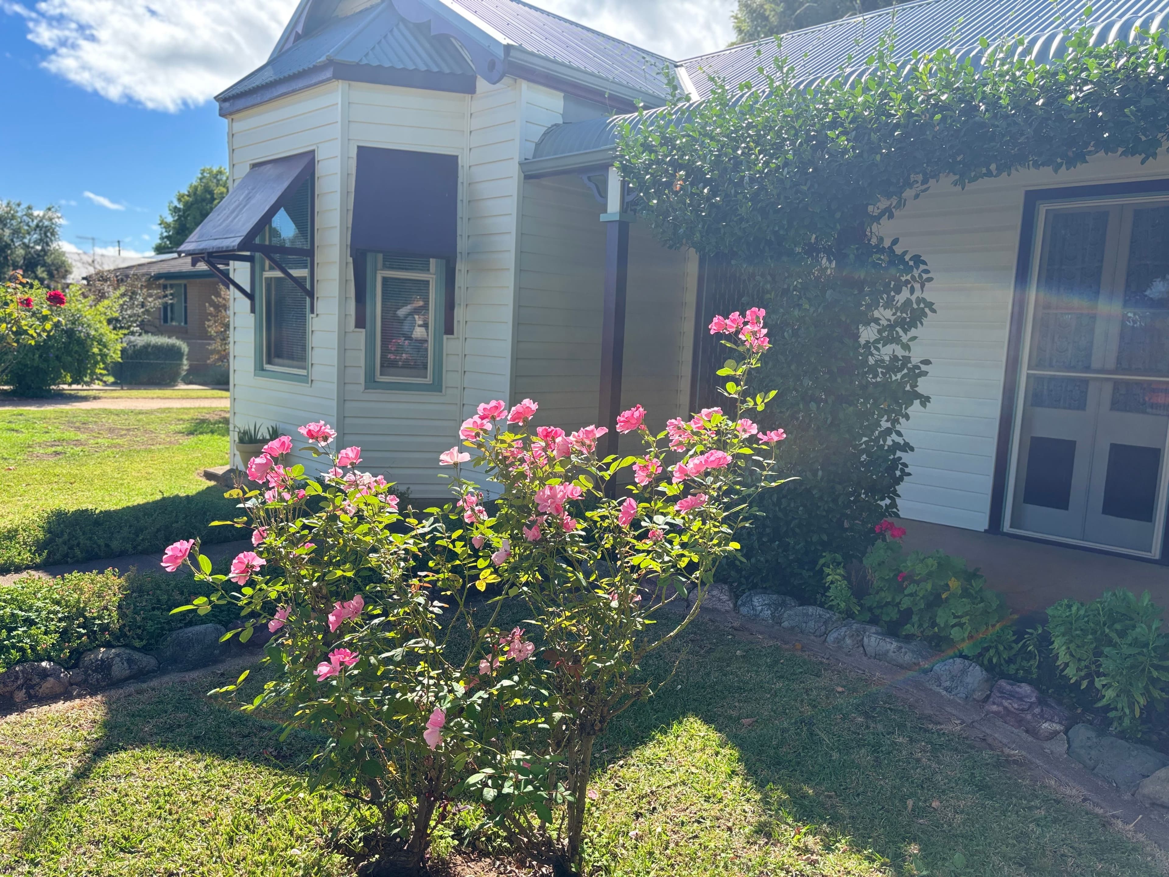 17 Bombelli Street, Bingara NSW 2404, Bingara - Thumbnail 3