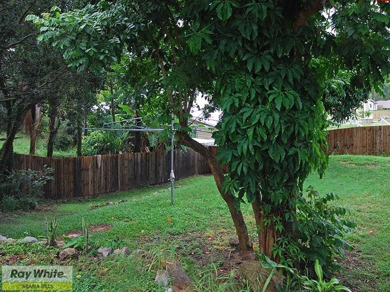 1123 South Pine Road, ARANA HILLS QLD 4054, Arana Hills - Thumbnail 6