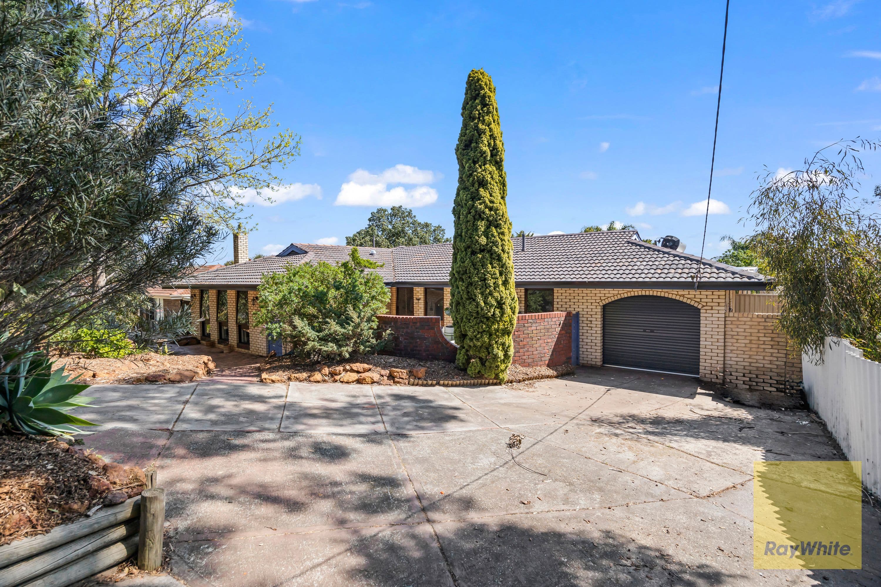 6 Scotia Street, Croydon SA 5008, Croydon - Image 1
