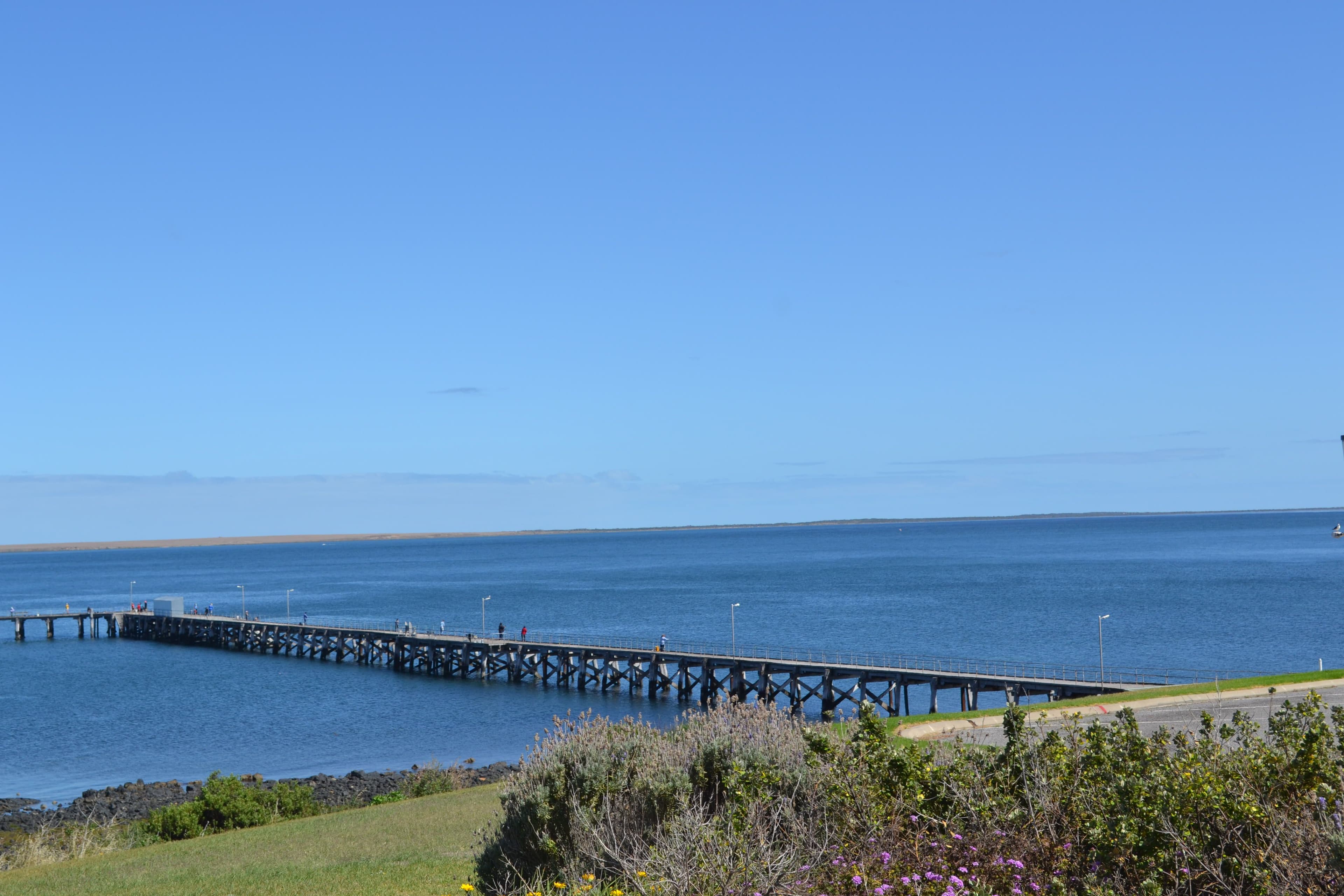 19 Passat Street, Port Victoria SA 5573, Port Victoria - Thumbnail 7