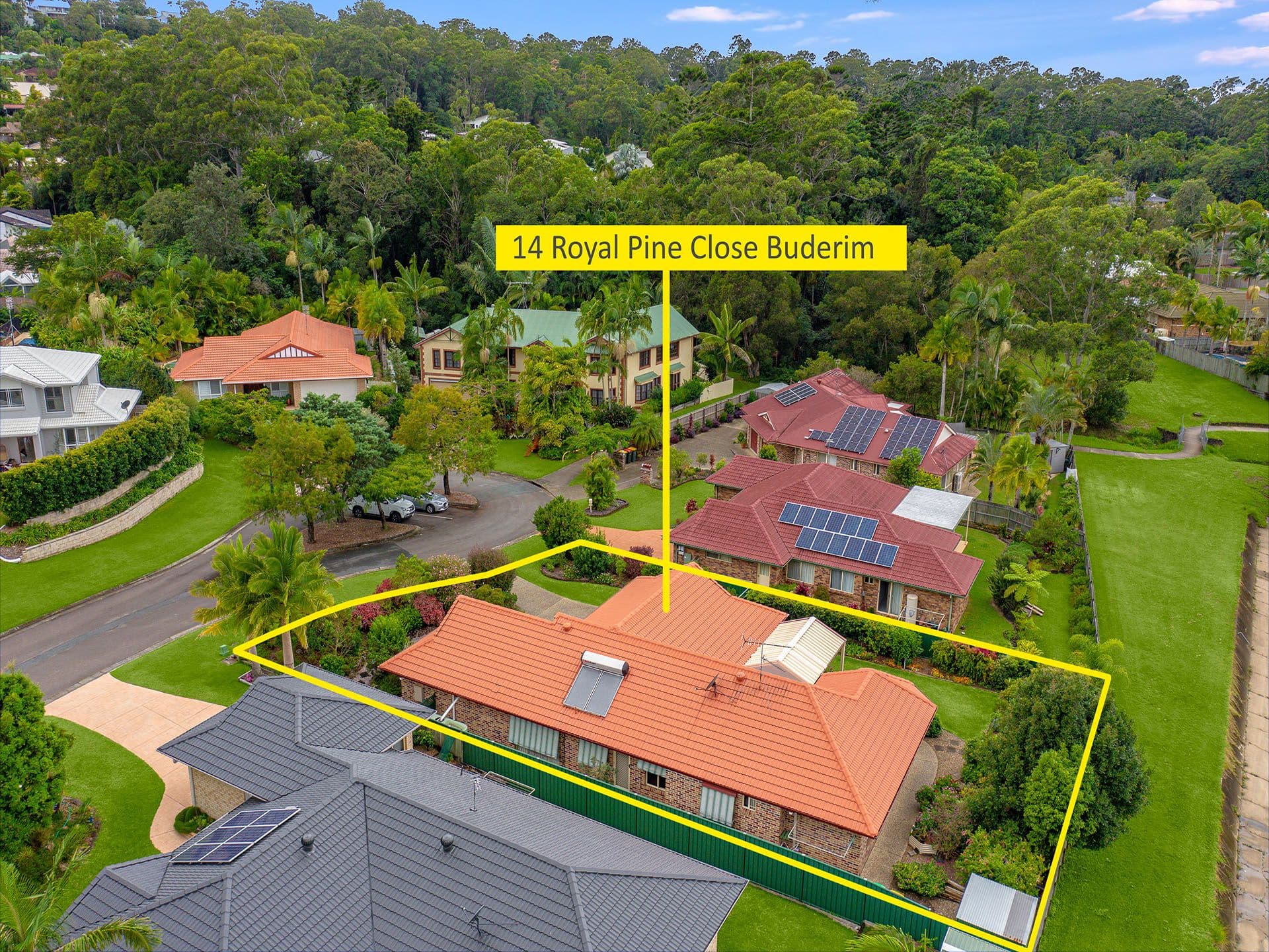 14 Royal Pine Close, Buderim QLD 4556, Buderim - Thumbnail 3