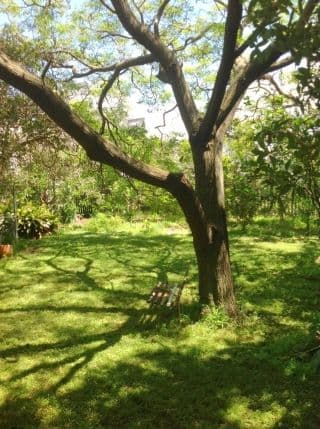 37 Eric Street, BUNDEENA NSW 2230, Bundeena - Thumbnail 6