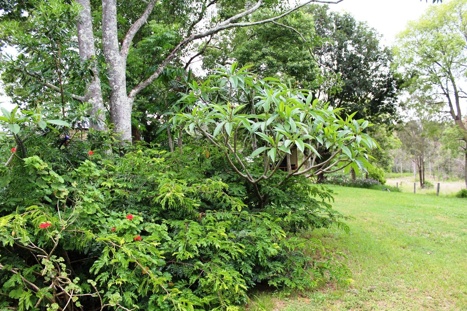 26 George Street, Linville QLD 4314, Linville - Thumbnail 5