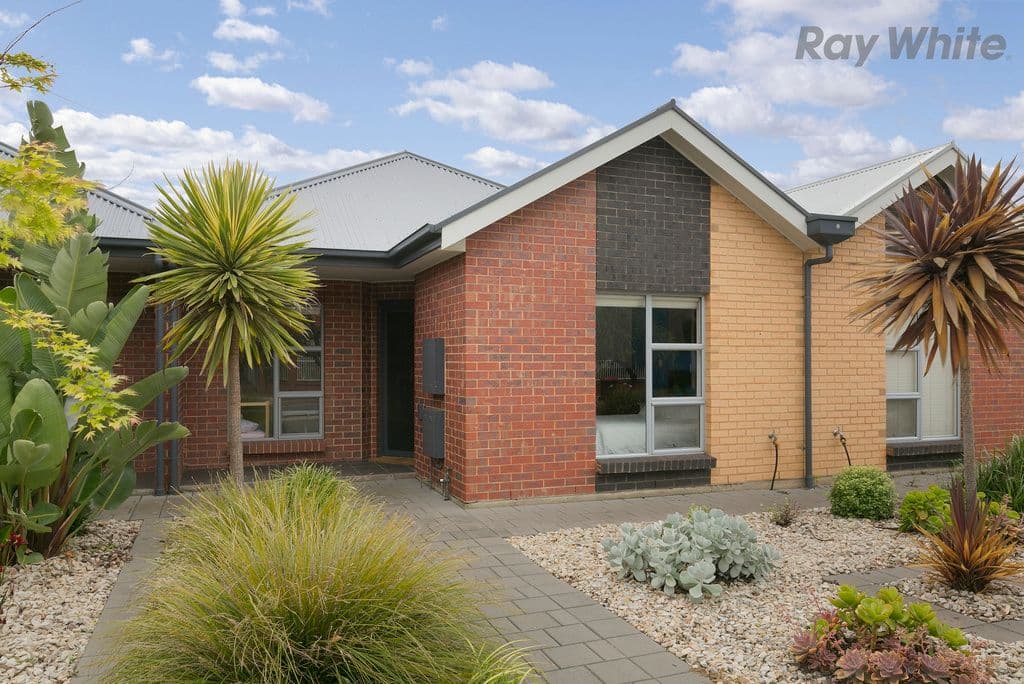 41 Flinders Street, Edwardstown SA 5039, Edwardstown - Image 1