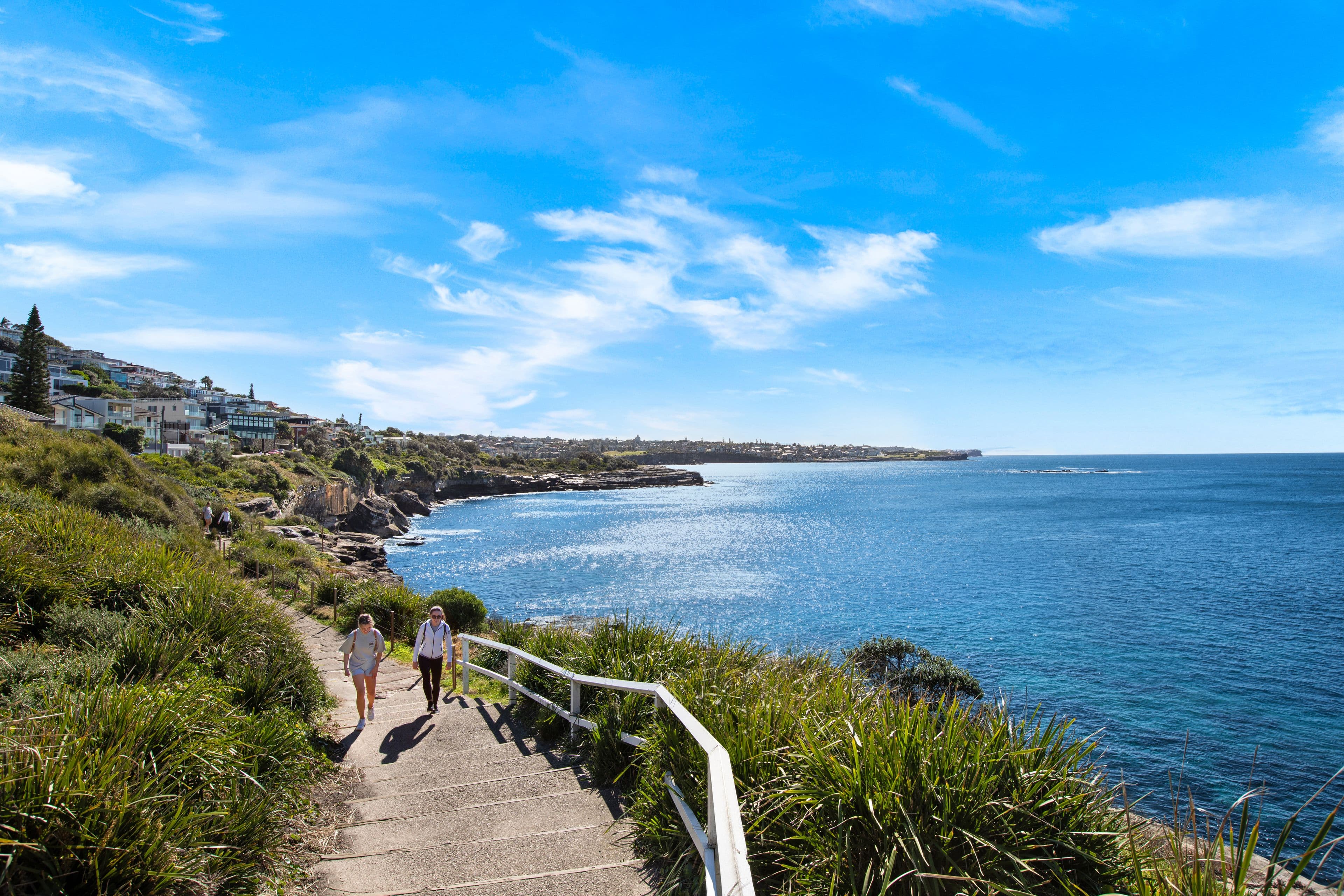 9 Greenwood Avenue, South Coogee NSW 2034, South Coogee - Thumbnail 6