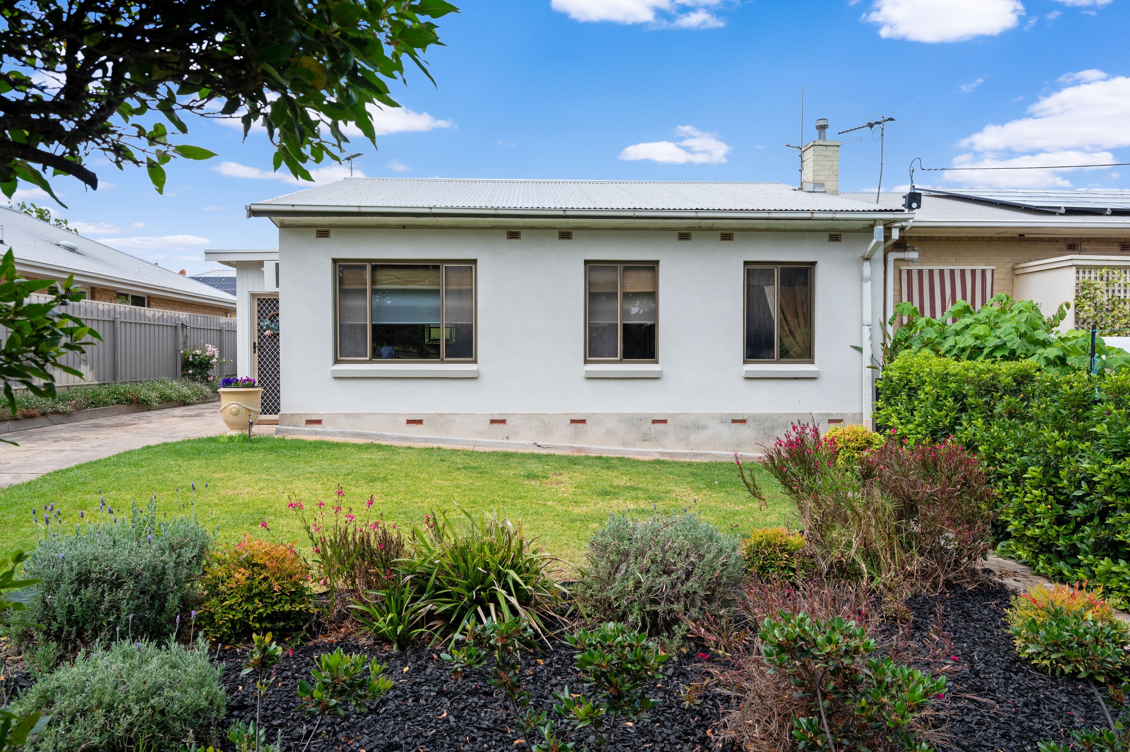 19 Browning Street, Clearview SA 5085, Clearview - Thumbnail 3