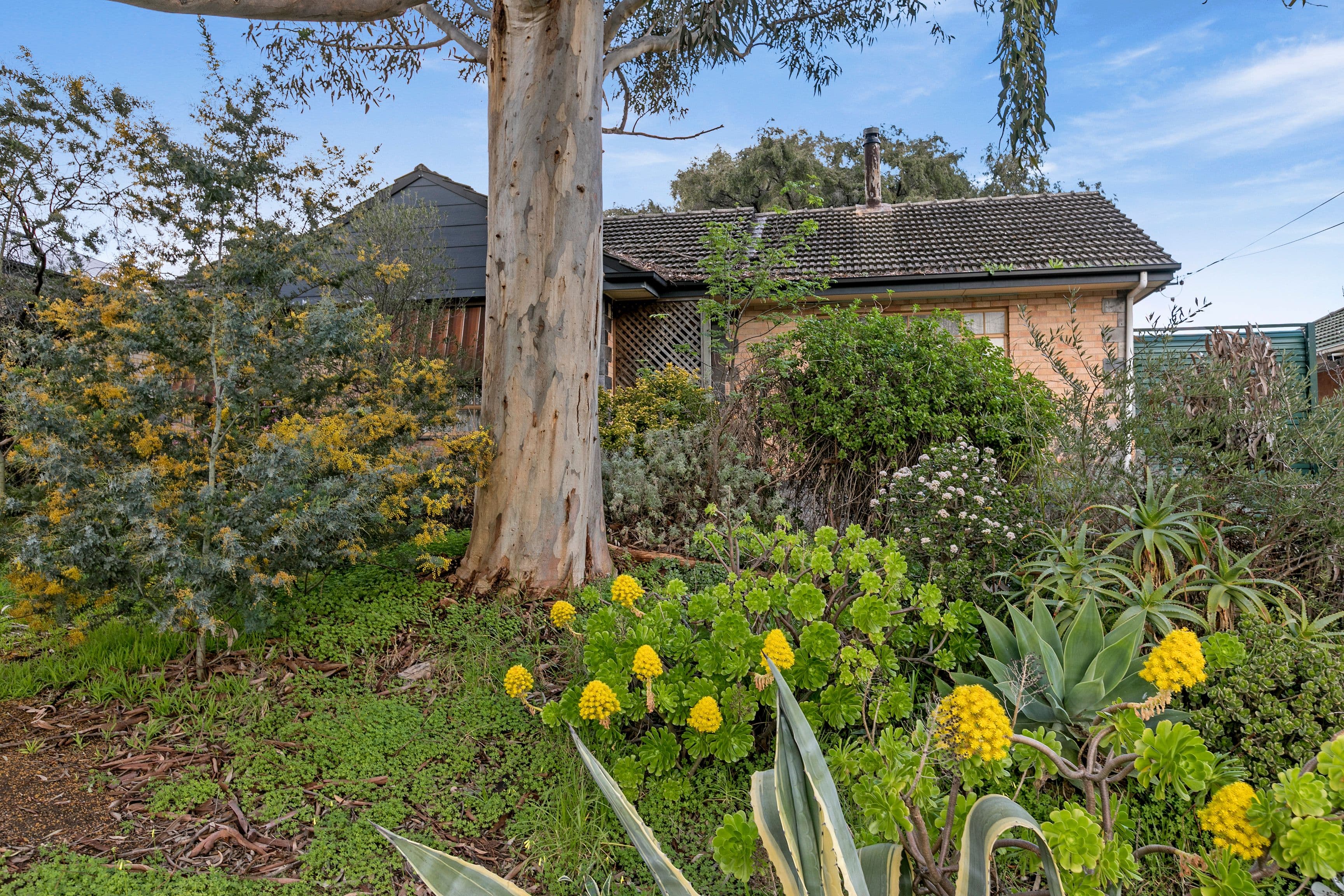 27 Whinnen Street, St Agnes SA 5097, St Agnes - Image 1