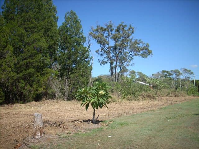 124 Edwin Street, Heidelberg Heights, Heidelberg Heights - Thumbnail 4