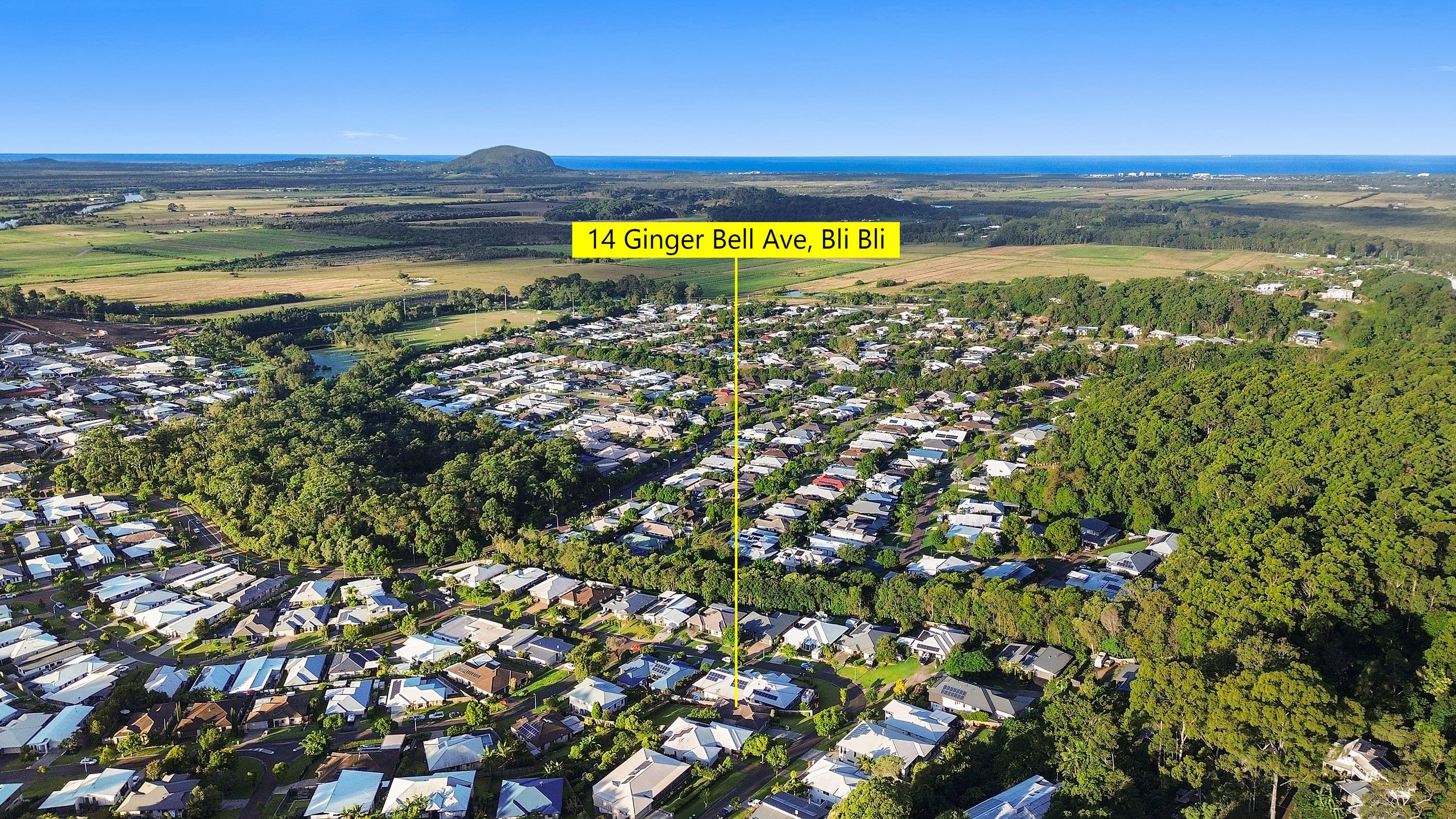 14 Ginger Bell Avenue, Bli Bli QLD 4560, Bli Bli - Thumbnail 3