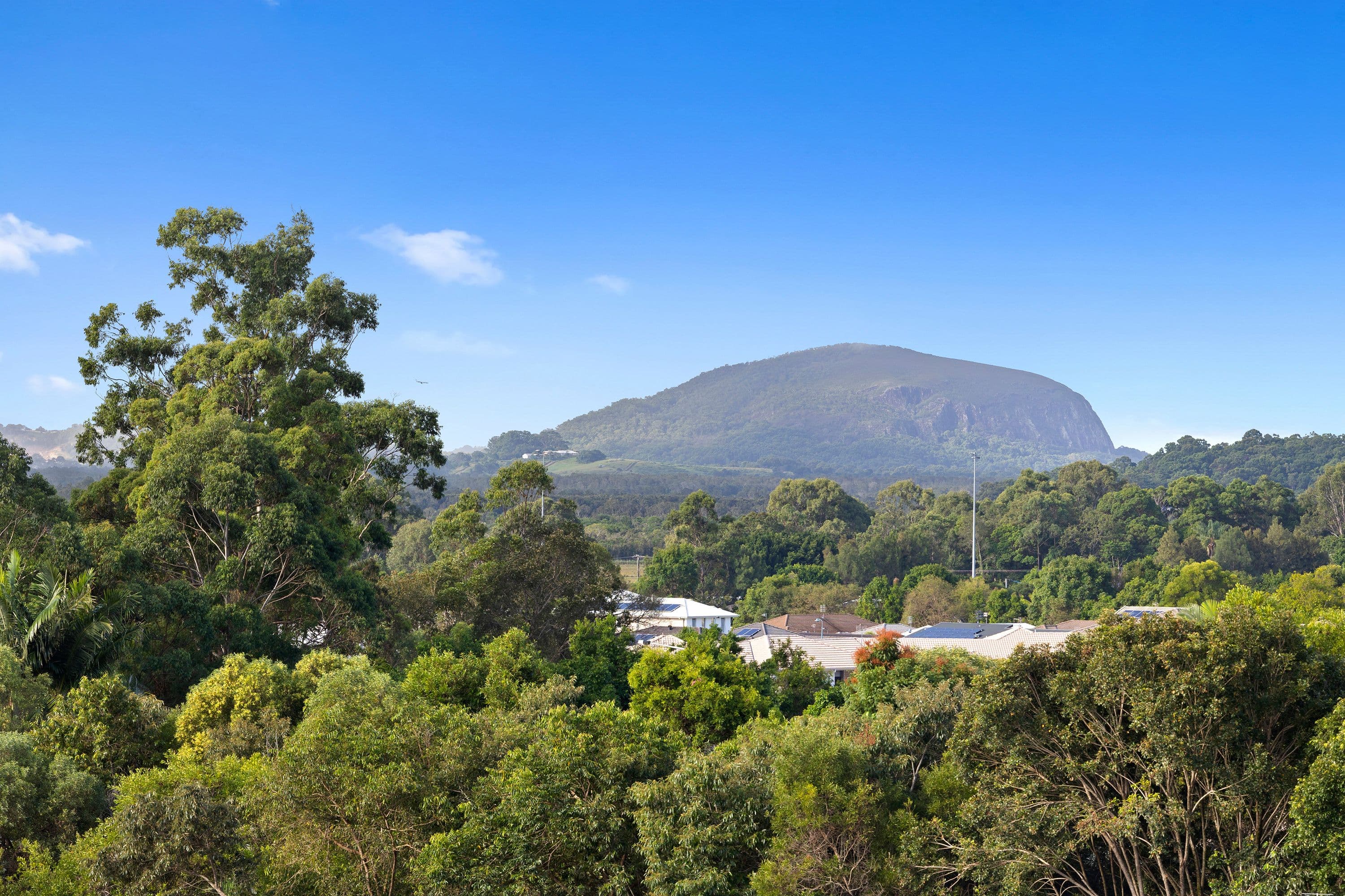 14 Ginger Bell Avenue, Bli Bli QLD 4560, Bli Bli - Thumbnail 7