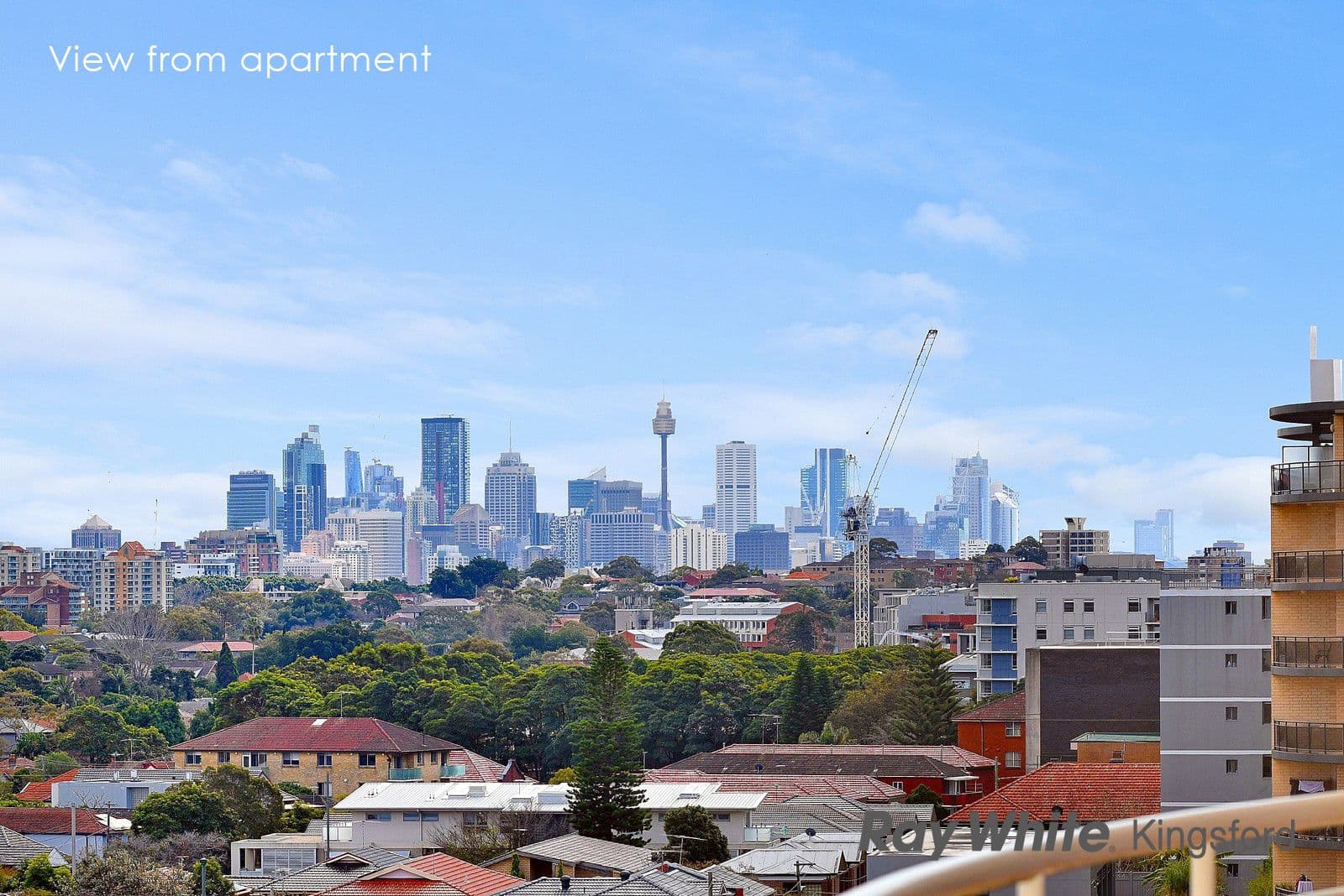 301-303 Anzac Parade, Kingsford NSW 2032, Kingsford - Thumbnail 7