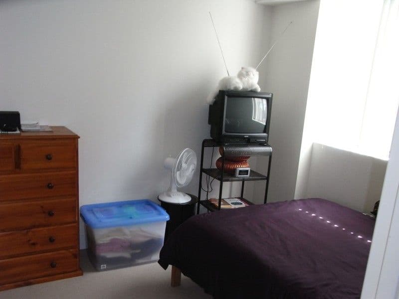 13 MacMahon Street, HURSTVILLE NSW 2220, Hurstville - Thumbnail 4
