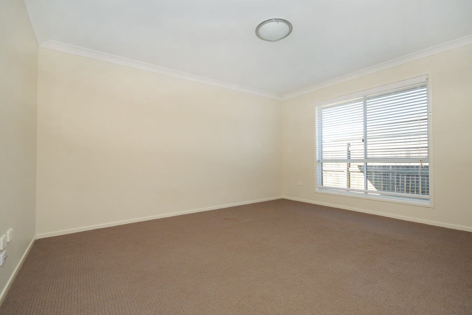 19 Grundy Street, WESTBROOK QLD 4350, Westbrook - Thumbnail 2
