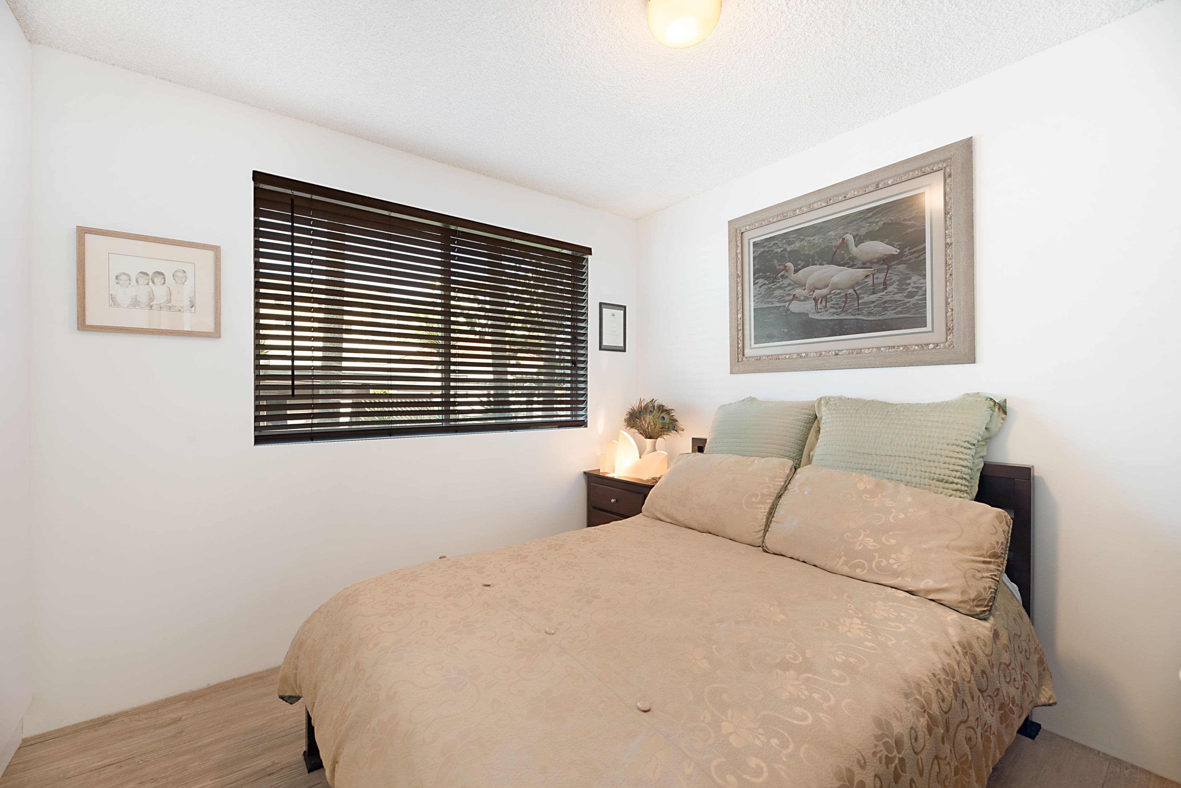 5 Arthur Street, Kings Beach QLD 4551, Kings Beach - Thumbnail 8