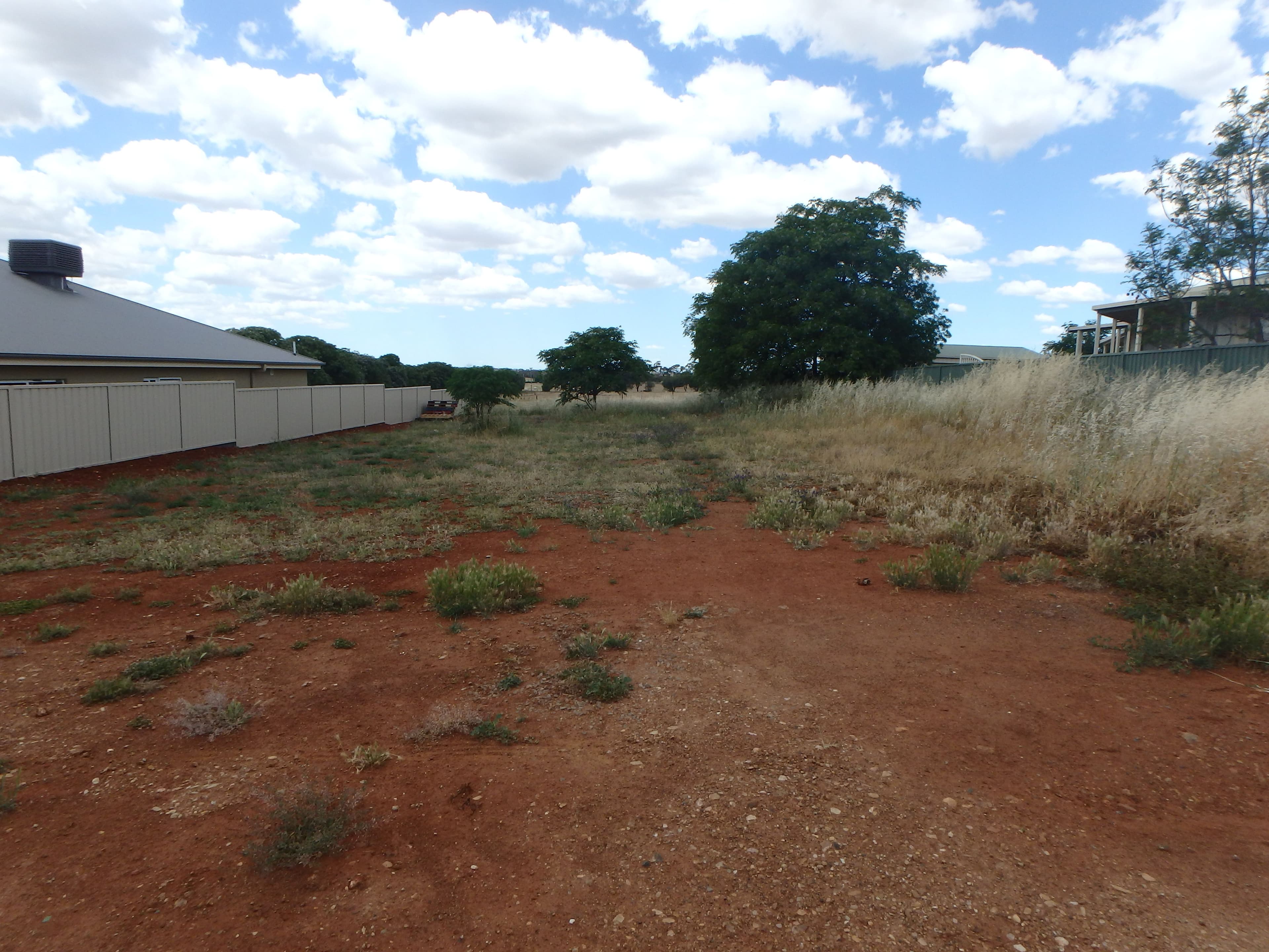 9 Joffre Street, Temora NSW 2666, Temora - Thumbnail 2
