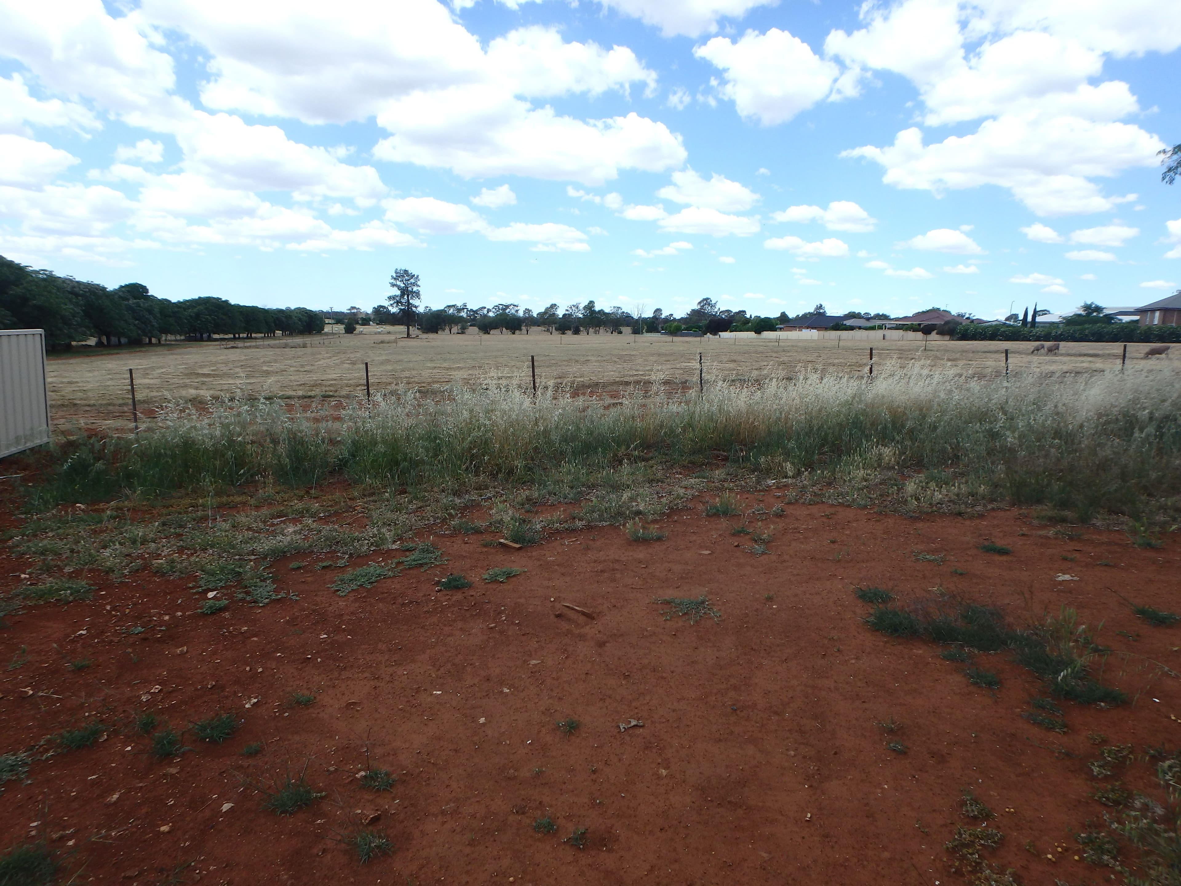 9 Joffre Street, Temora NSW 2666, Temora - Thumbnail 4