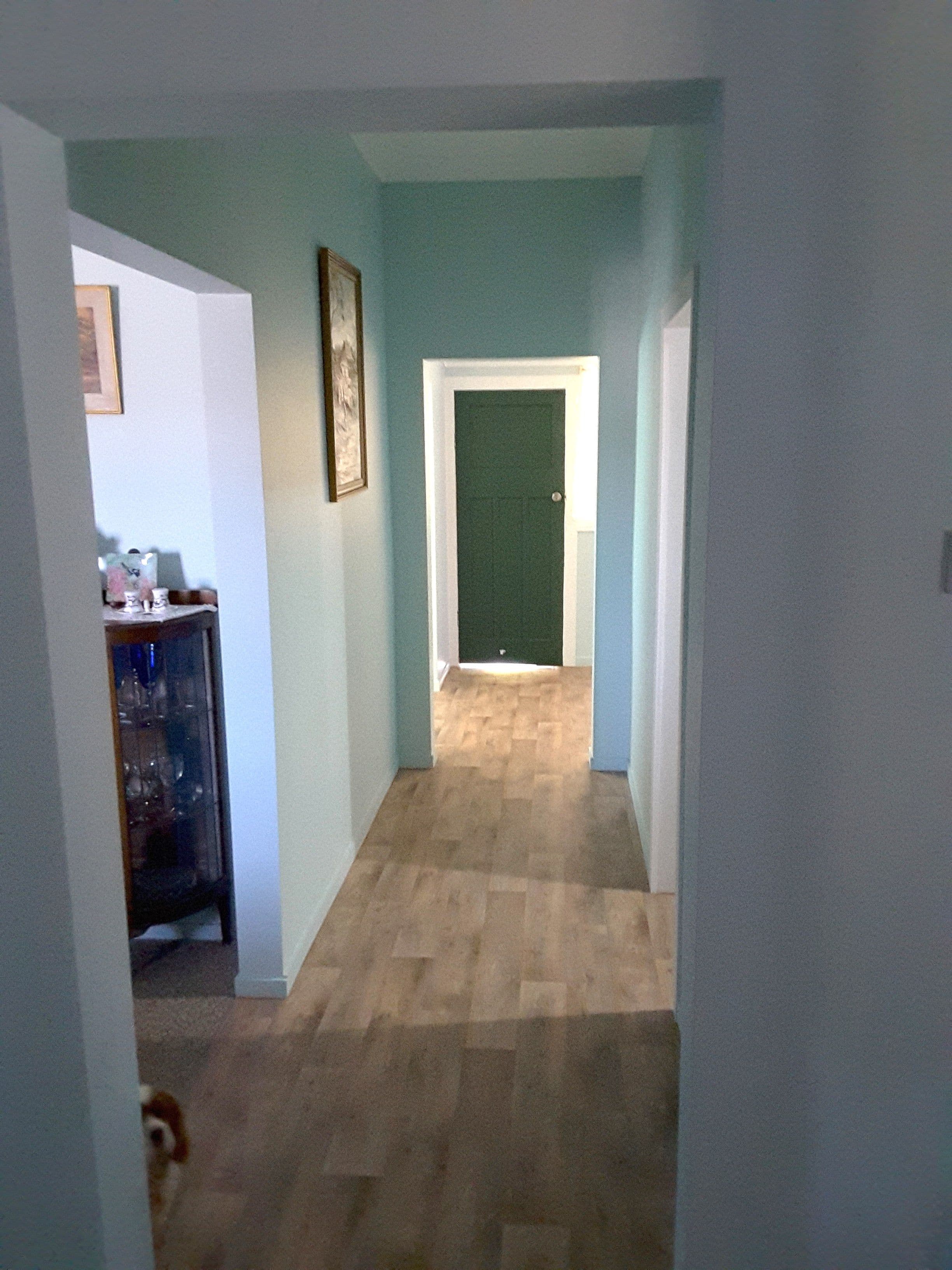 38 Frazer Street, Ashford - Thumbnail 6
