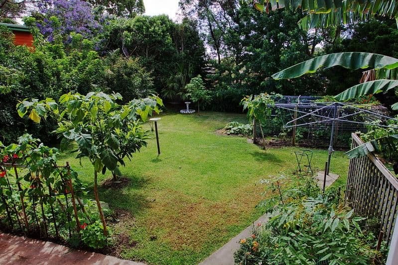 8 Hockey Street, NOWRA NSW 2541, Nowra - Thumbnail 5