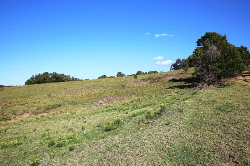 Lot 426 Huntingdale Park Estate, Berry NSW 2535, Berry - Thumbnail 8