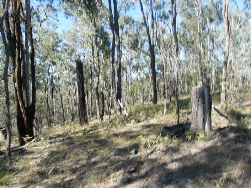 Lot 389  New England Highway, COOYAR QLD 4402, Cooyar - Thumbnail 3