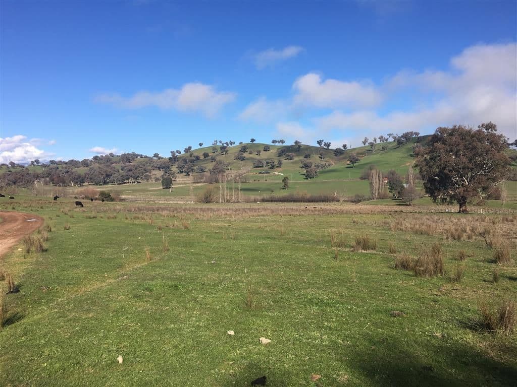 Lot 98 Withers Lane, Tumut NSW 2720, Tumut - Image 1