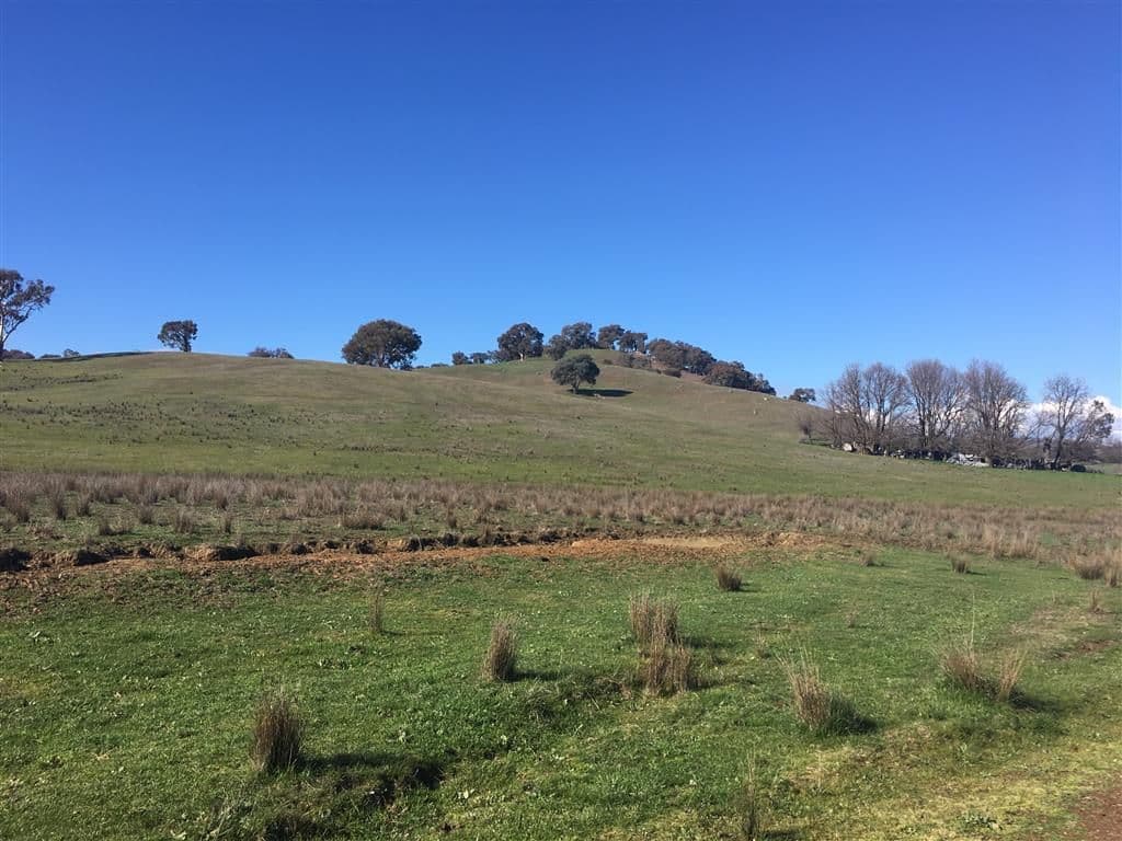 Lot 98 Withers Lane, Tumut NSW 2720, Tumut - Thumbnail 2