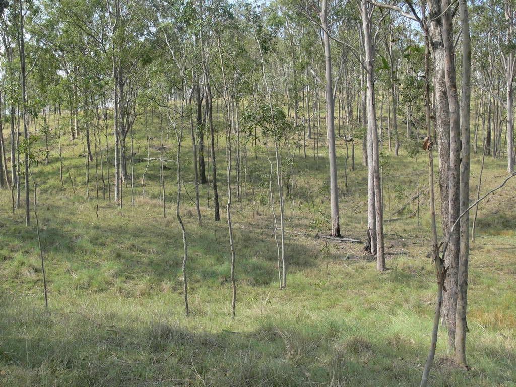 720 Esk Crows Nest Road, BIARRA QLD 4313, Biarra - Thumbnail 4