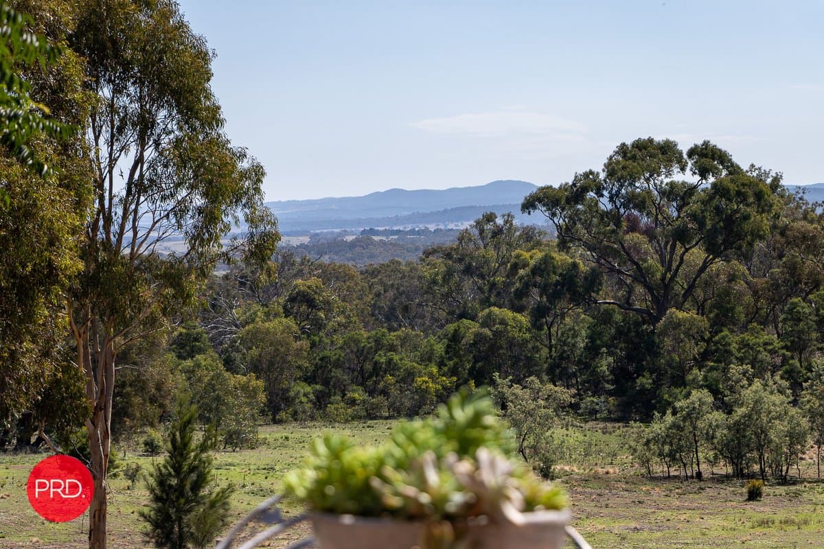 141 Shepherd Road, BYWONG NSW 2621, Bywong - Thumbnail 7