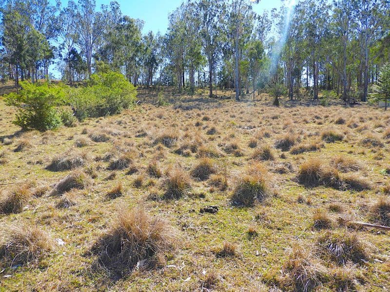 Lot 7 Beaury Street, Urbenville NSW 2475, Urbenville - Thumbnail 2