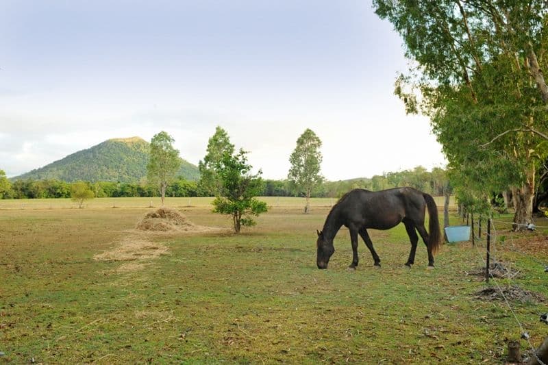 1042 Gregory-Cannonvalley Road, STRATHDICKIE QLD 4800, Strathdickie - Thumbnail 2