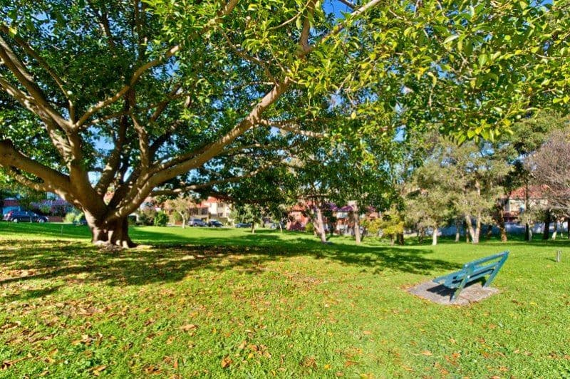 58 Brown Street, BRONTE NSW 2024, Bronte - Thumbnail 7