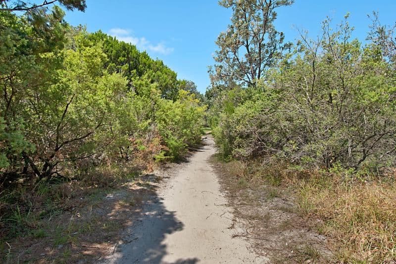 26 Beachside Drive, SUFFOLK PARK NSW 2481, Suffolk Park - Thumbnail 3