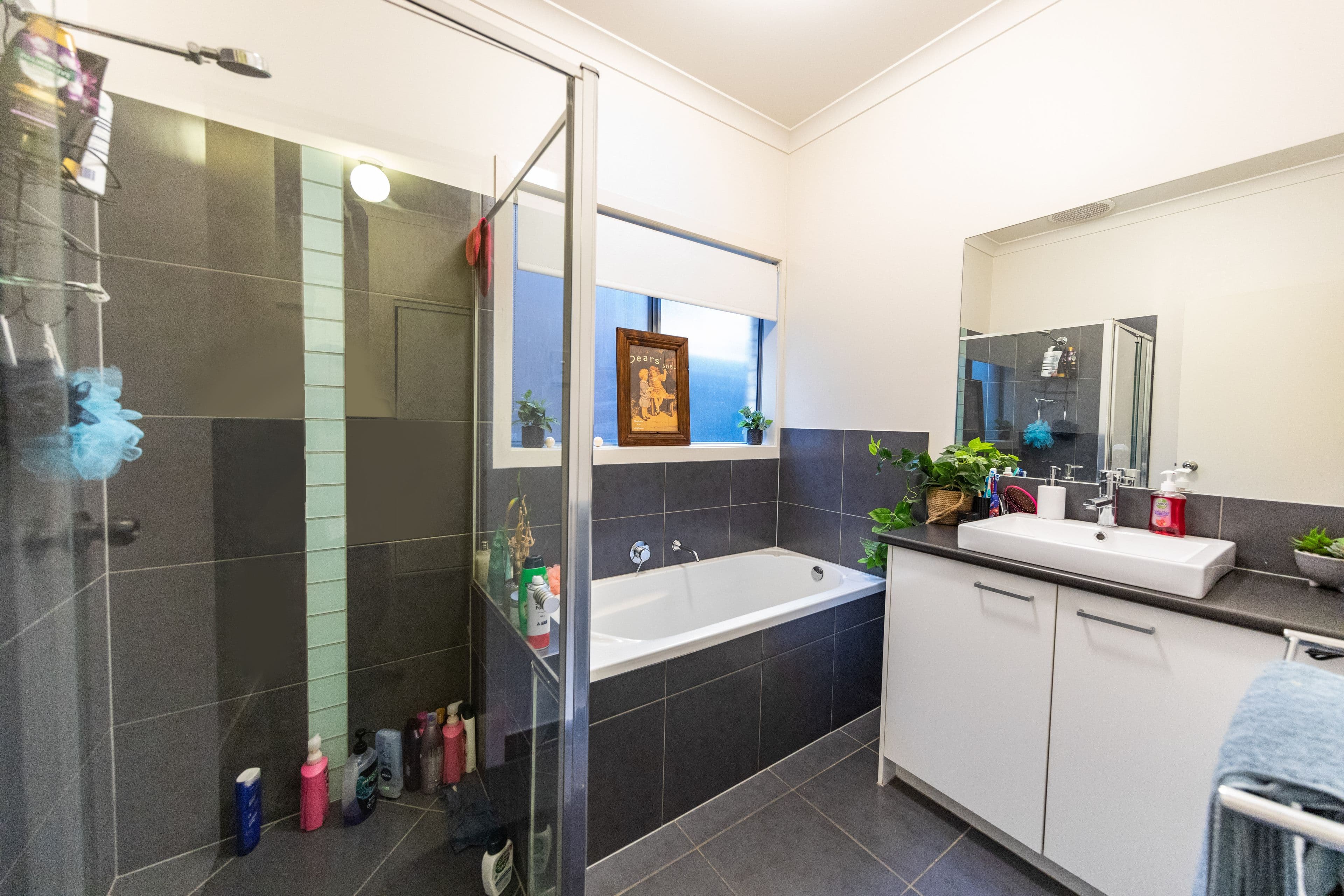 11 Boucaut Avenue, Blakeview SA 5114, Blakeview - Thumbnail 2