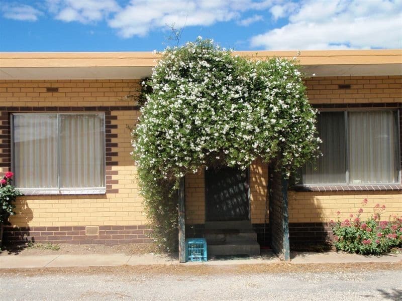 90 Station Street, Eungai Rail, NSW, 2441, Eungai Rail - Image 1