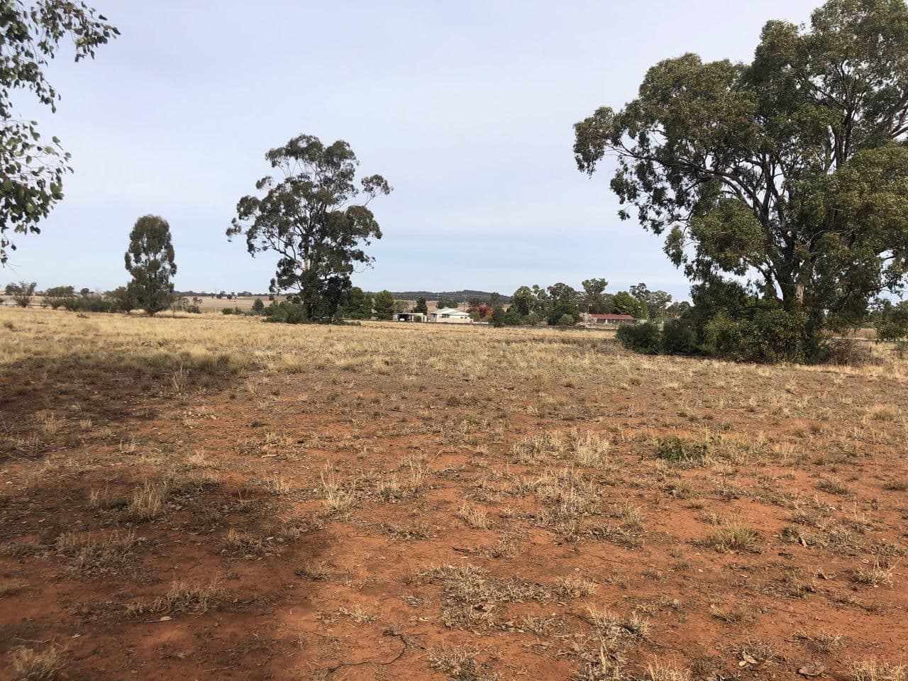 6 Bogan Street, Bogan Gate NSW 2876, Bogan Gate - Image 1