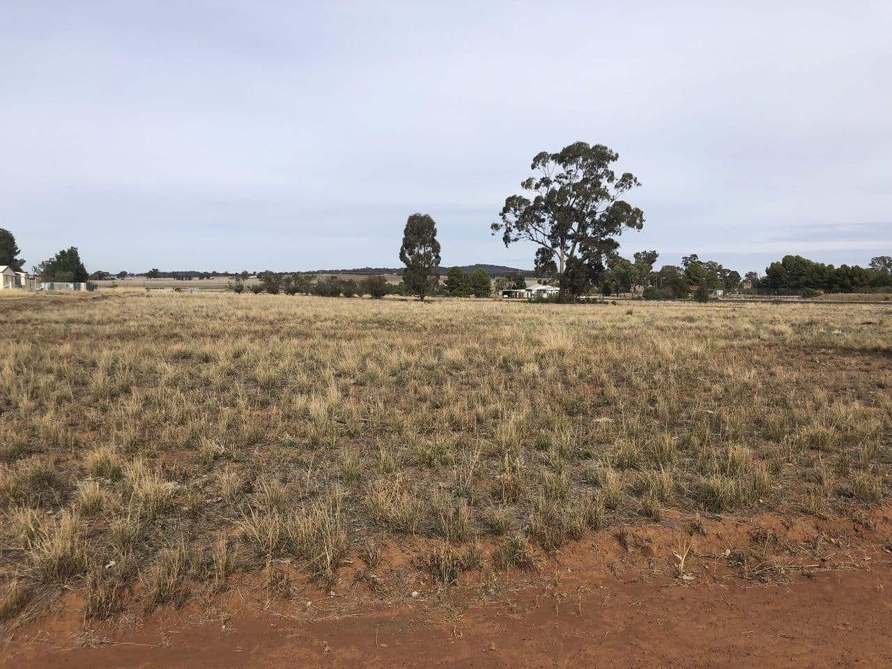 6 Bogan Street, Bogan Gate NSW 2876, Bogan Gate - Thumbnail 2