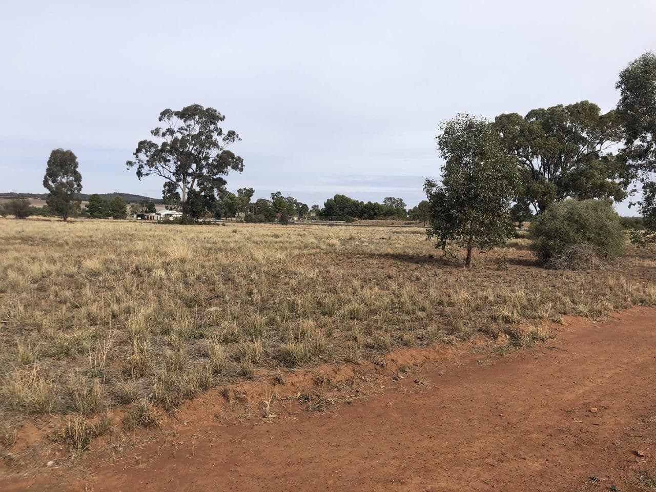 6 Bogan Street, Bogan Gate NSW 2876, Bogan Gate - Thumbnail 3