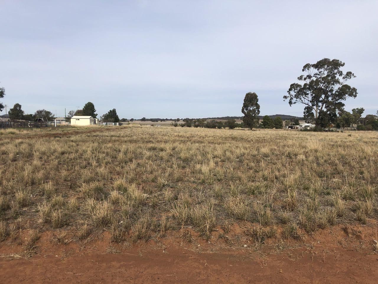 6 Bogan Street, Bogan Gate NSW 2876, Bogan Gate - Thumbnail 4