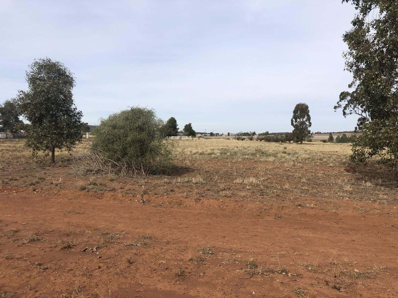 6 Bogan Street, Bogan Gate NSW 2876, Bogan Gate - Thumbnail 6