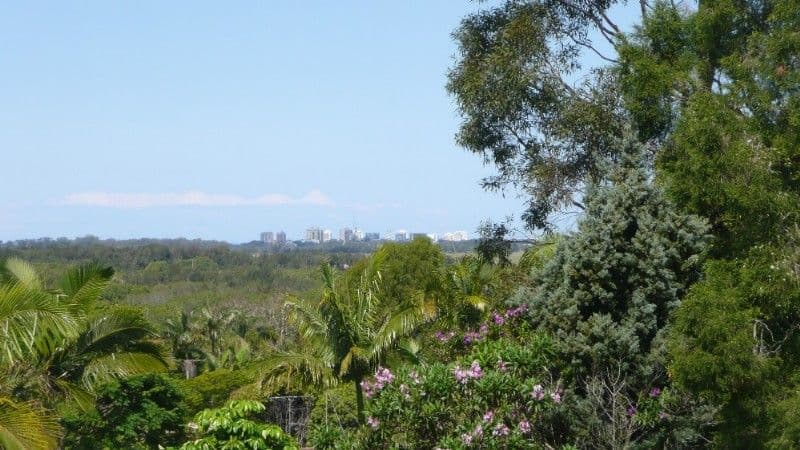 6 Whistler Street, BLI BLI QLD 4560, Bli Bli - Thumbnail 3