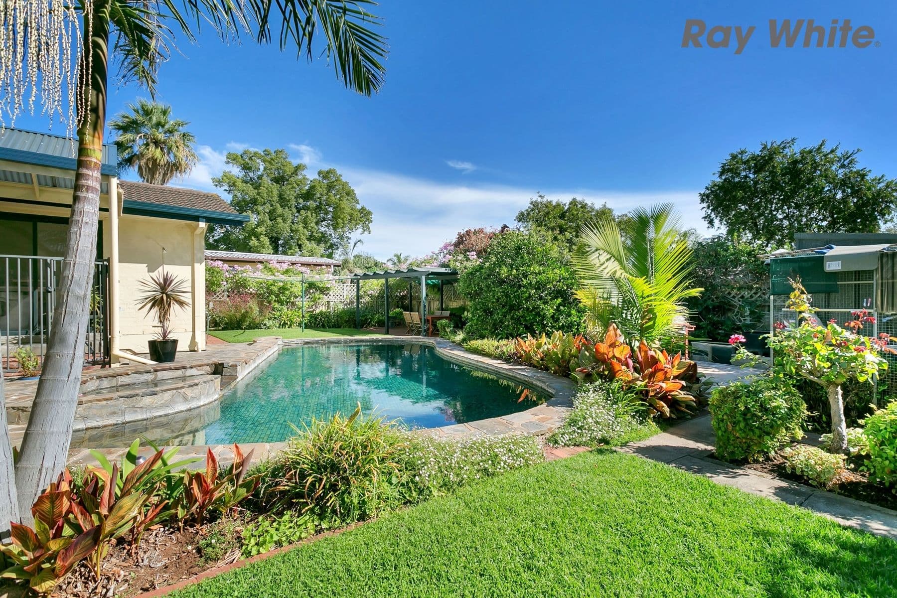 12 Christina Street, Marion SA 5043, Marion - Thumbnail 2