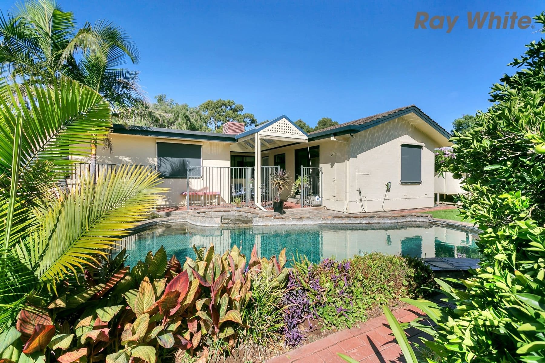 12 Christina Street, Marion SA 5043, Marion - Thumbnail 3